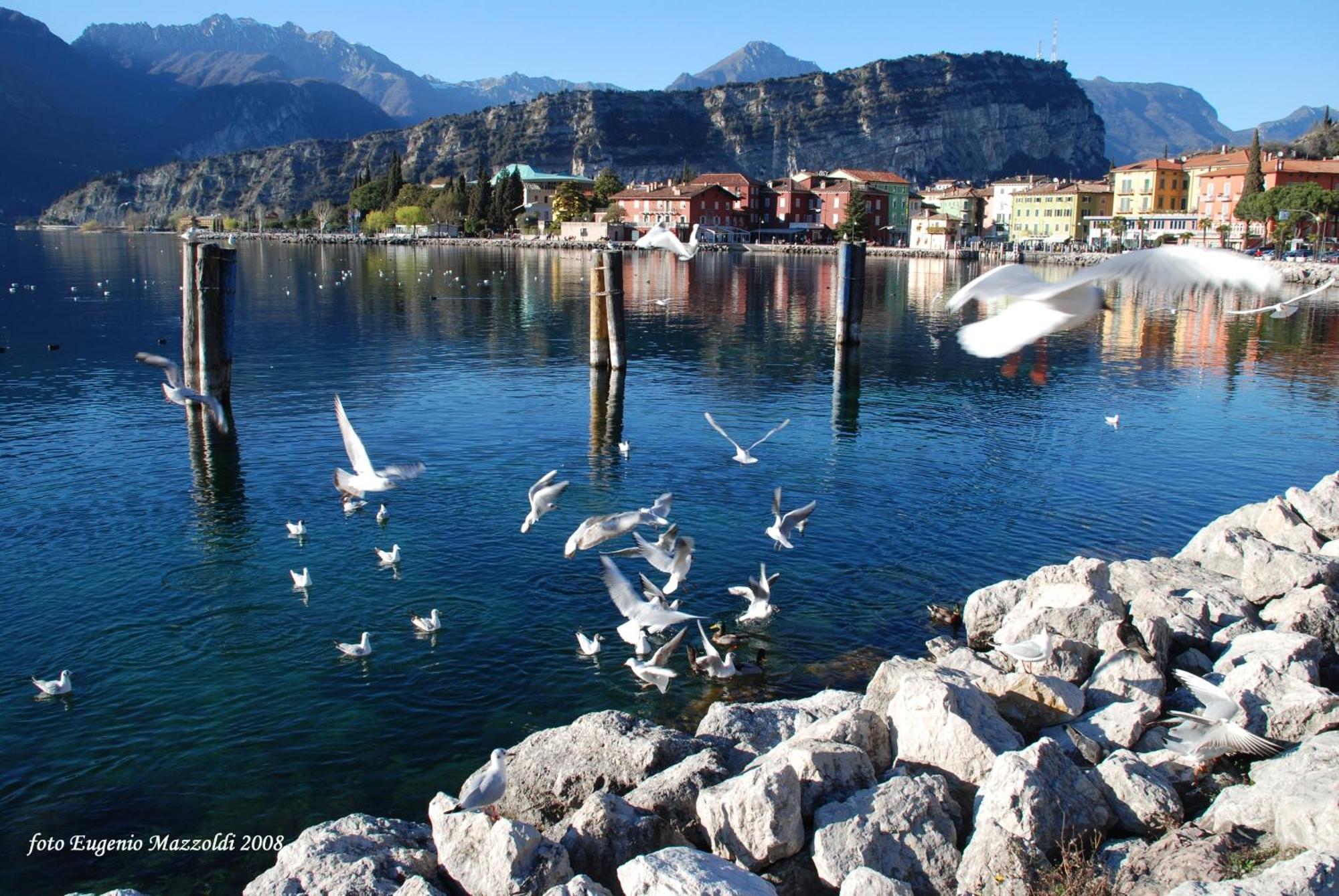 Appartement Casa Marco à Torbole Sul Garda Extérieur photo